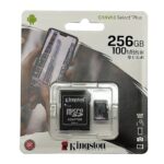 Micro SD 256 GB